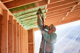 Best Insulation for Existing Homes  in Hillview, KY